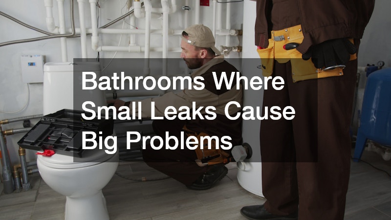 Bathrooms Where Small Leaks Cause Big Problems