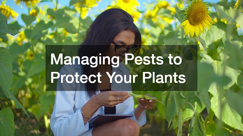 Managing Pests to Protect Your Plants