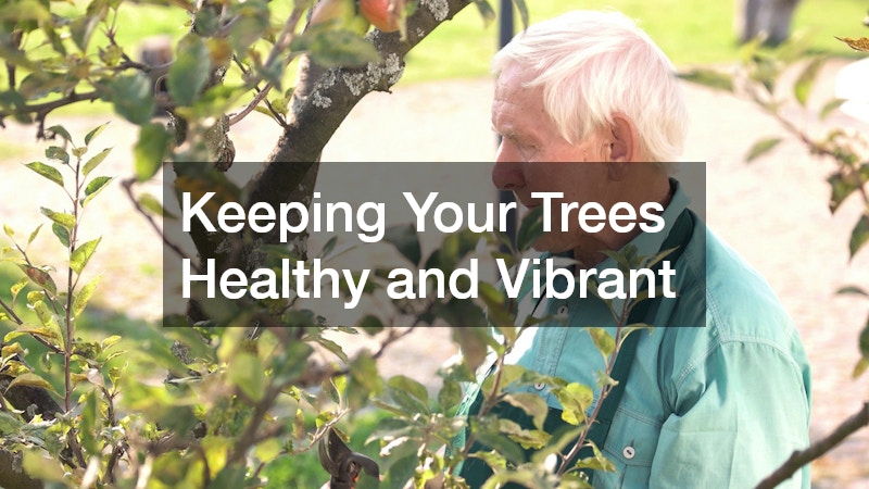 Keeping Your Trees Healthy and Vibrant