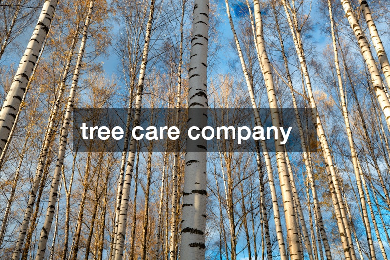 tree care company