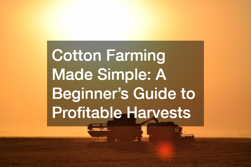 Cotton Farming Made Simple: A Beginner’s Guide to Profitable Harvests