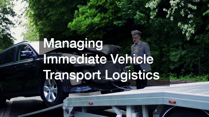 Managing Immediate Vehicle Transport Logistics