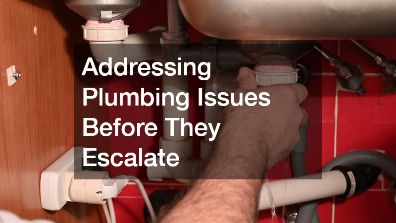 Addressing Plumbing Issues Before They Escalate