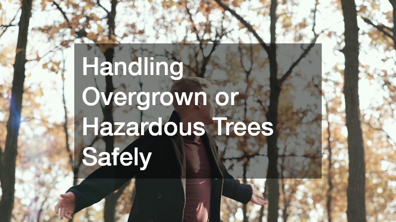 Handling Overgrown or Hazardous Trees Safely