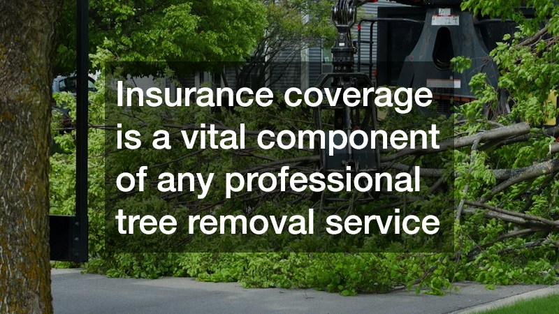 Insurance coverage is a vital component of any professional tree removal service