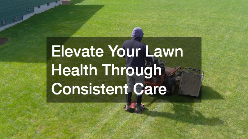 Elevate Your Lawn Health Through Consistent Care