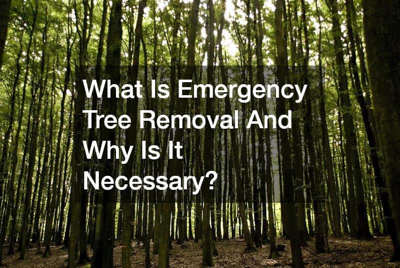 What Is Emergency Tree Removal And Why Is It Necessary?