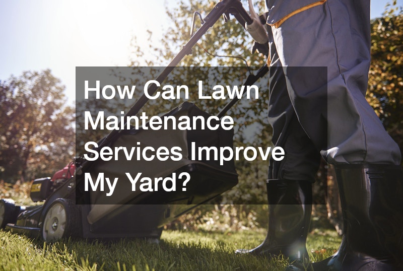 How Can Lawn Maintenance Services Improve My Yard?