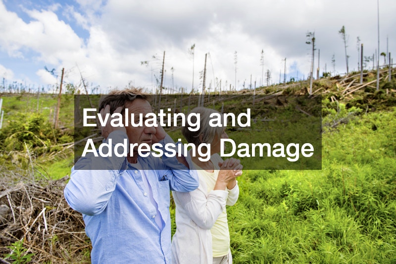 Evaluating and Addressing Damage