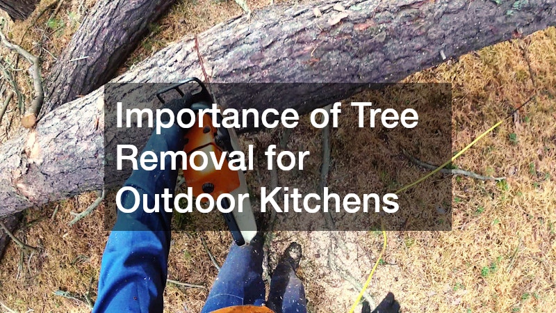 Importance of Tree Removal for Outdoor Kitchens