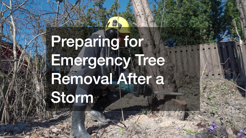 Preparing for Emergency Tree Removal After a Storm