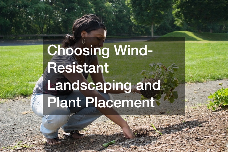 Choosing Wind-Resistant Landscaping and Plant Placement