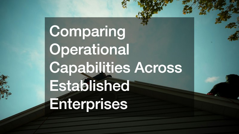 Comparing Operational Capabilities Across Established Enterprises