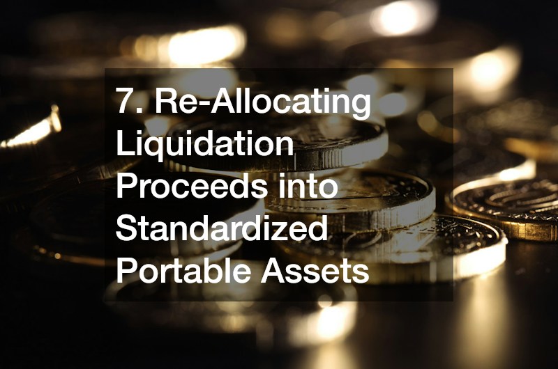 7. Re-Allocating Liquidation Proceeds into Standardized Portable Assets