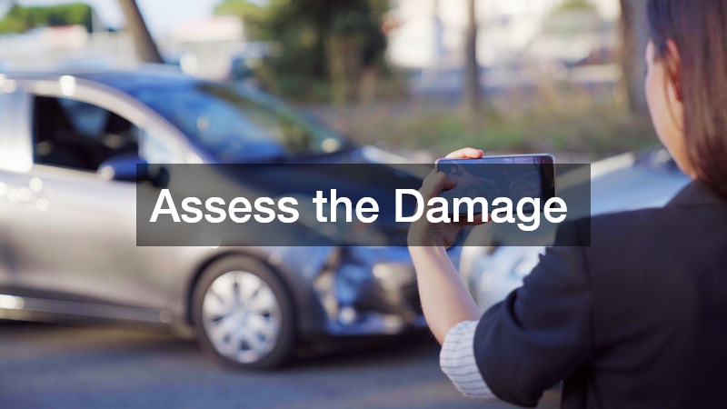 Assess the Damage