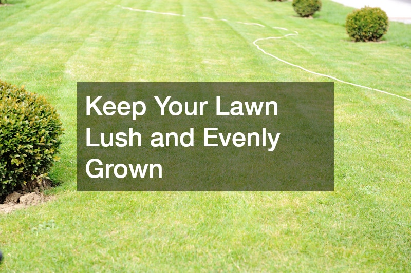 Keep Your Lawn Lush and Evenly Grown