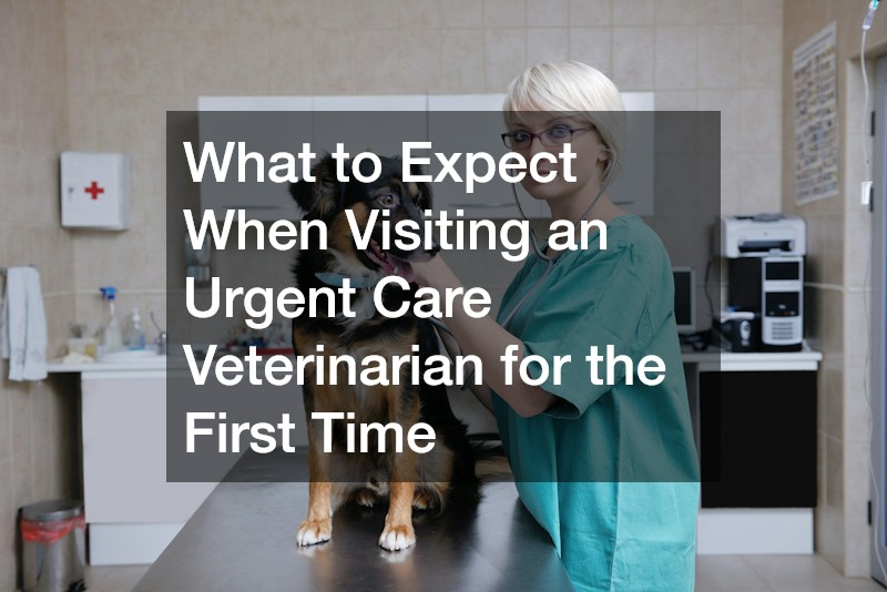 What to Expect When Visiting an Urgent Care Veterinarian for the First Time