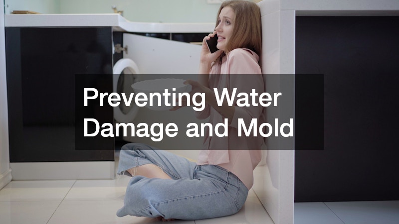 Preventing Water Damage and Mold