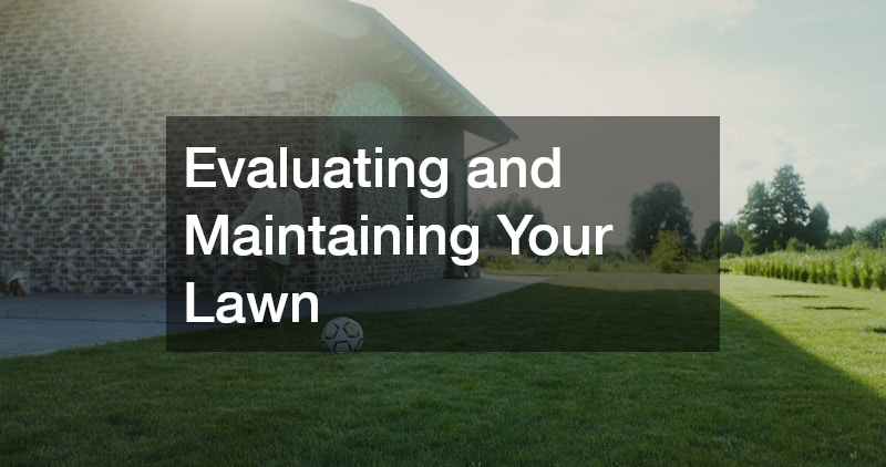 Evaluating and Maintaining Your Lawn