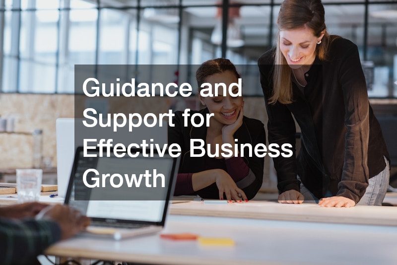 Guidance and Support for Effective Business Growth