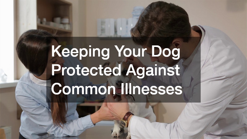 Keeping Your Dog Protected Against Common Illnesses