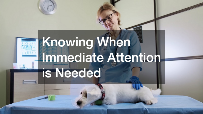 Knowing When Immediate Attention is Needed