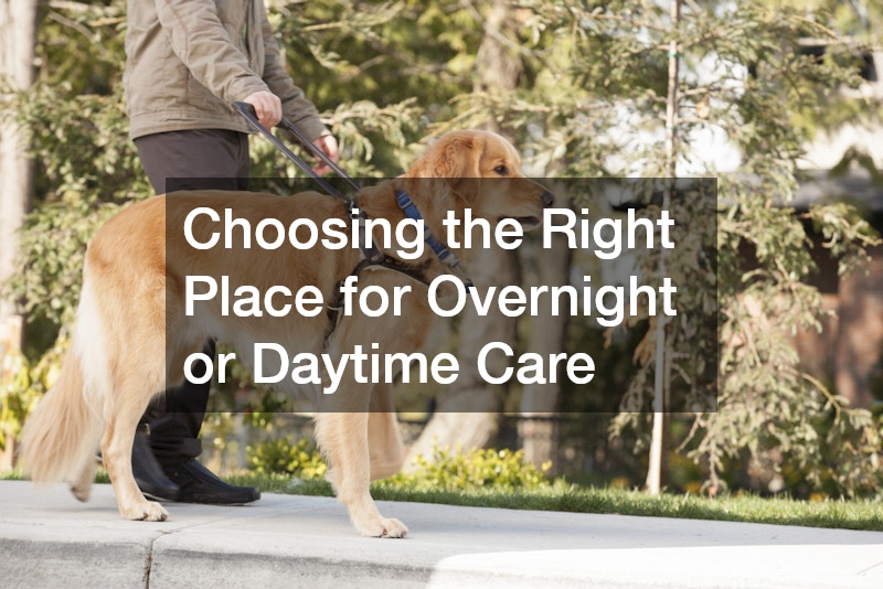 Choosing the Right Place for Overnight or Daytime Care