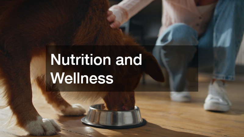 Nutrition and Wellness