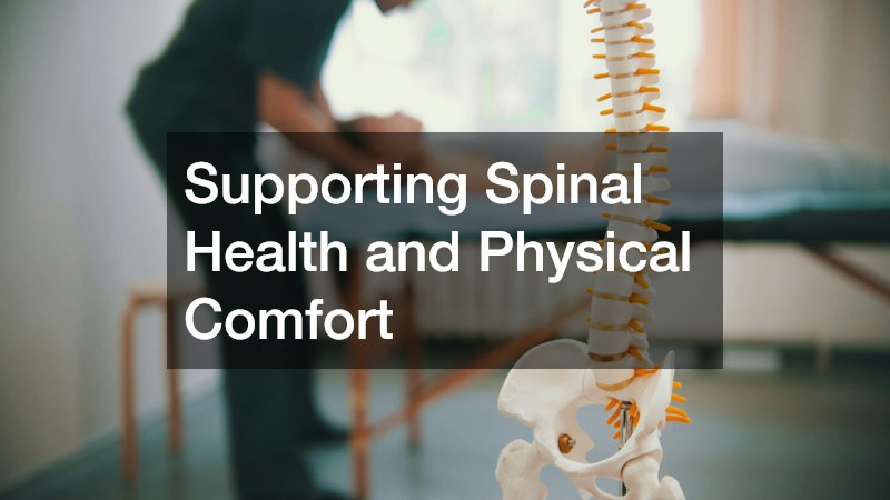 Supporting Spinal Health and Physical Comfort