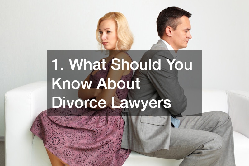 1. What Should You Know About Divorce Lawyers