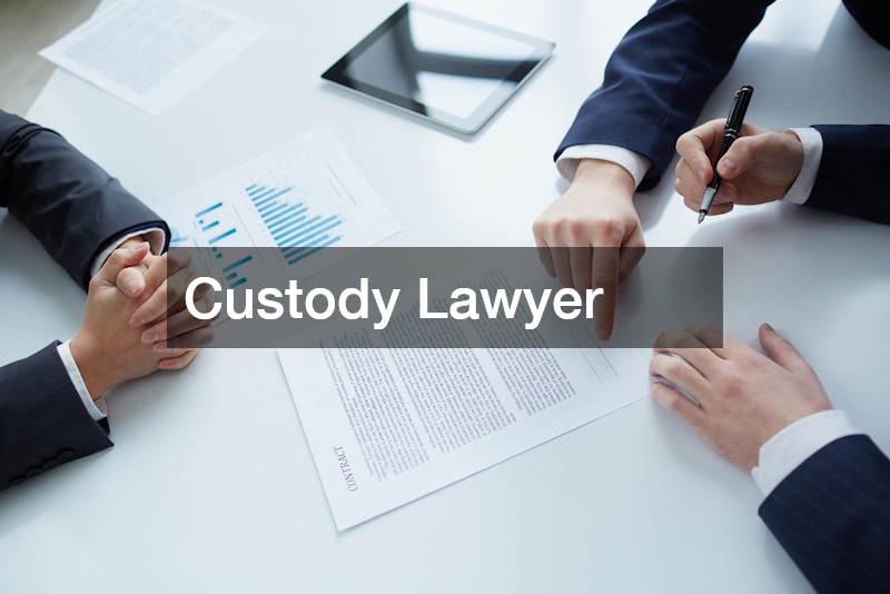 Custody Lawyer
