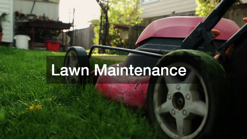Lawn Maintenance