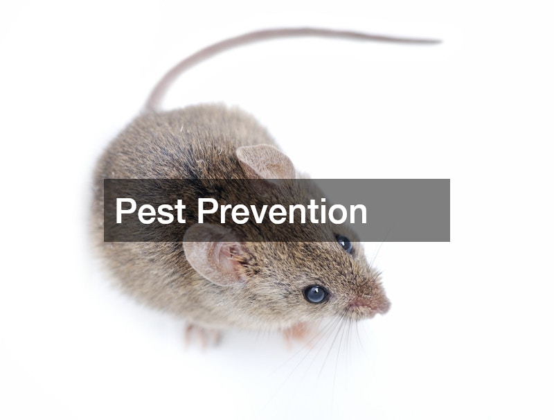 Pest Prevention