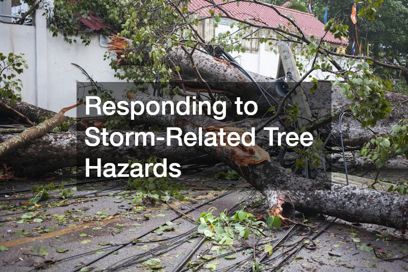 Responding to Storm-Related Tree Hazards