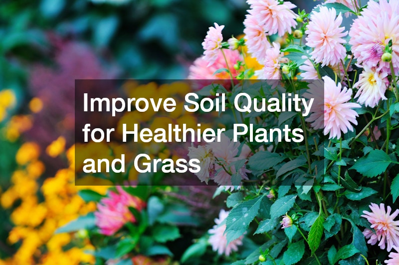 Improve Soil Quality for Healthier Plants and Grass