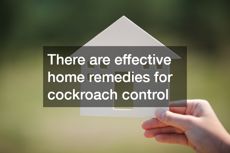 There are effective home remedies for cockroach control
