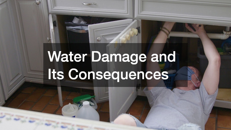 Water Damage and Its Consequences