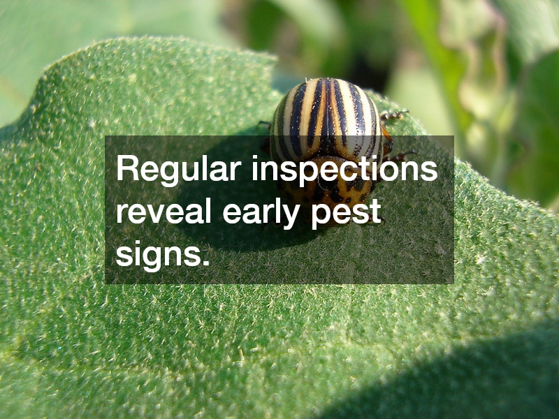 Regular inspections reveal early pest signs.