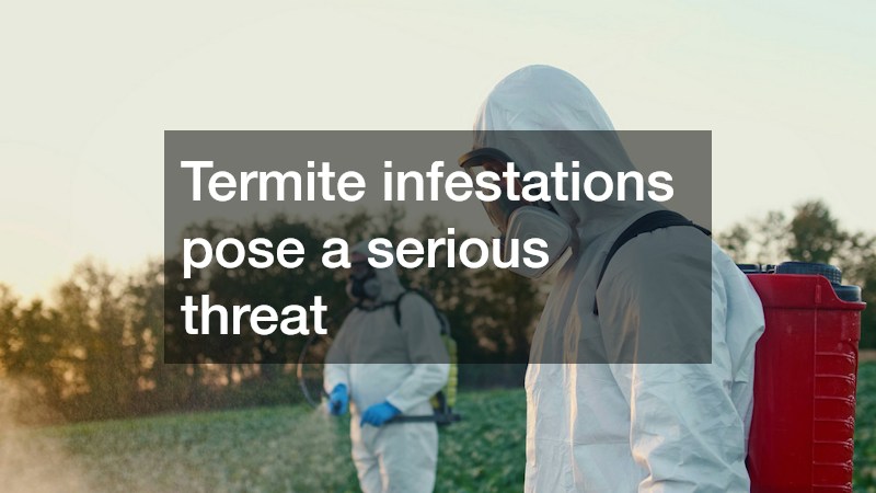 Termite infestations pose a serious threat