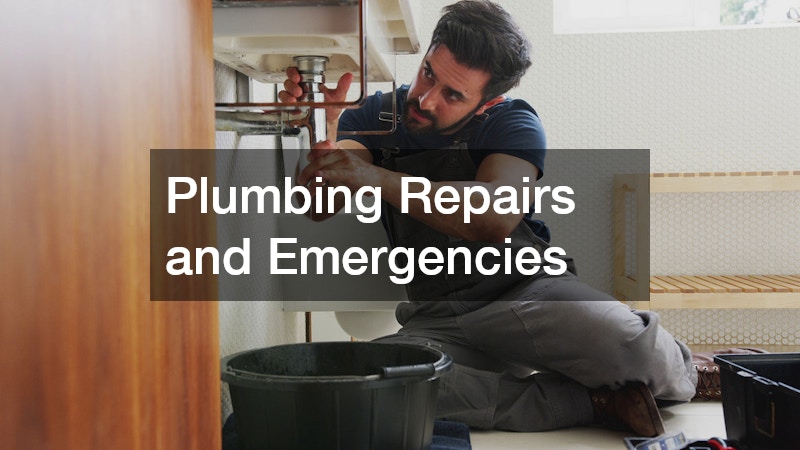 Plumbing Repairs and Emergencies