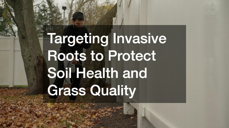 Targeting Invasive Roots to Protect Soil Health and Grass Quality