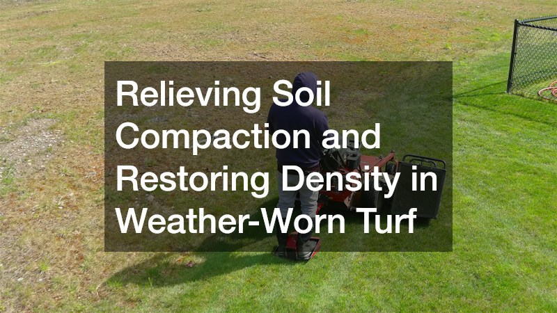 Relieving Soil Compaction and Restoring Density in Weather-Worn Turf