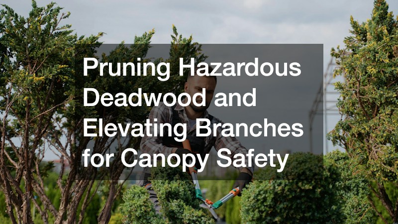 Pruning Hazardous Deadwood and Elevating Branches for Canopy Safety