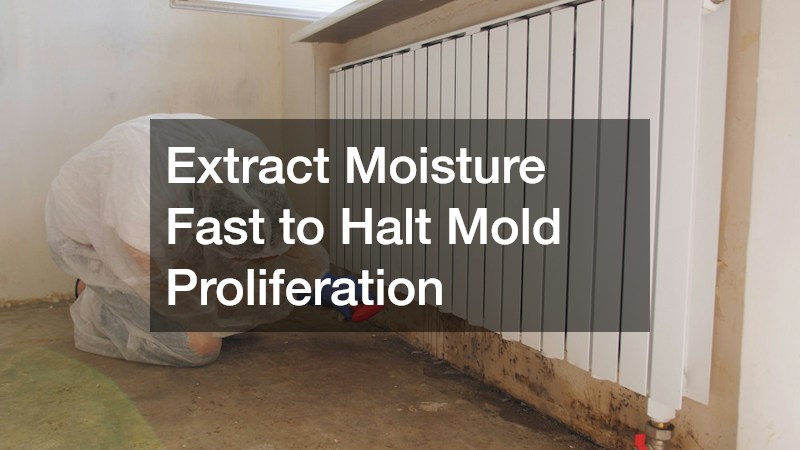 Extract Moisture Fast to Halt Mold Proliferation