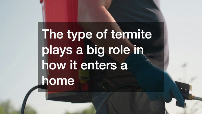 The type of termite plays a big role in how it enters a home