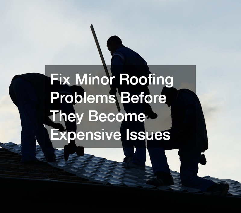 Fix Minor Roofing Problems Before They Become Expensive Issues