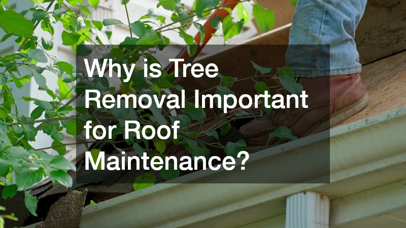 Why is Tree Removal Important for Roof Maintenance?