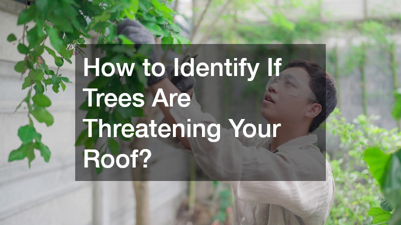 How to Identify If Trees Are Threatening Your Roof?