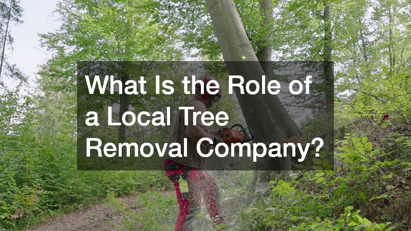 What Is the Role of a Local Tree Removal Company?