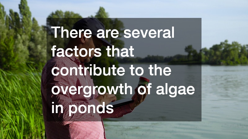 There are several factors that contribute to the overgrowth of algae in ponds
